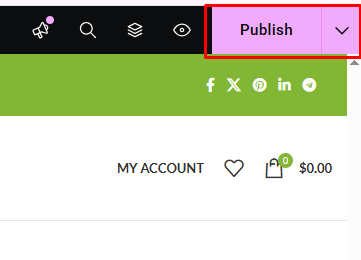 The Best Elementor Store Locator Plugin in 2026 9 publish 1